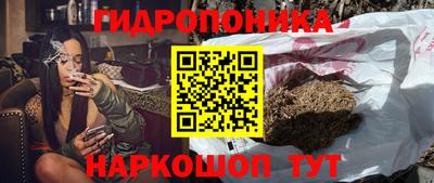 бошки Можга