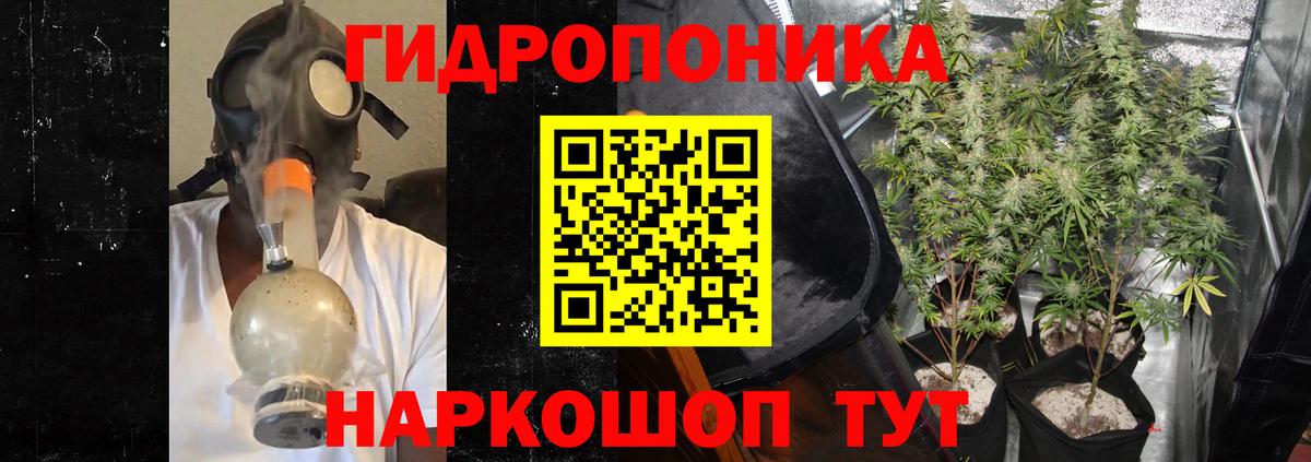 Бошки марихуана OG Kush Семёнов